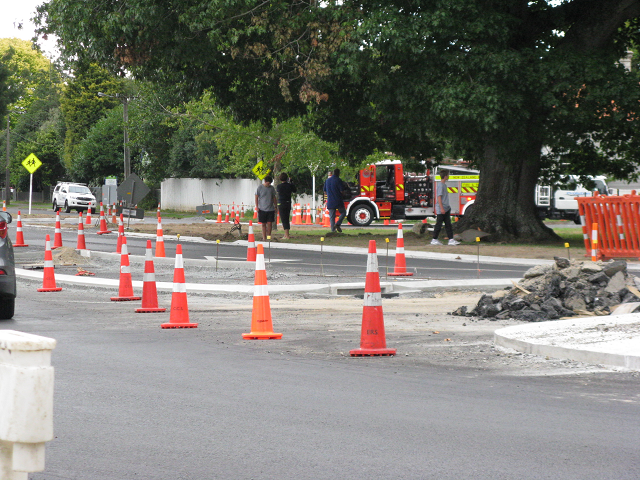 29. A median island. Cambridge Tree Trust